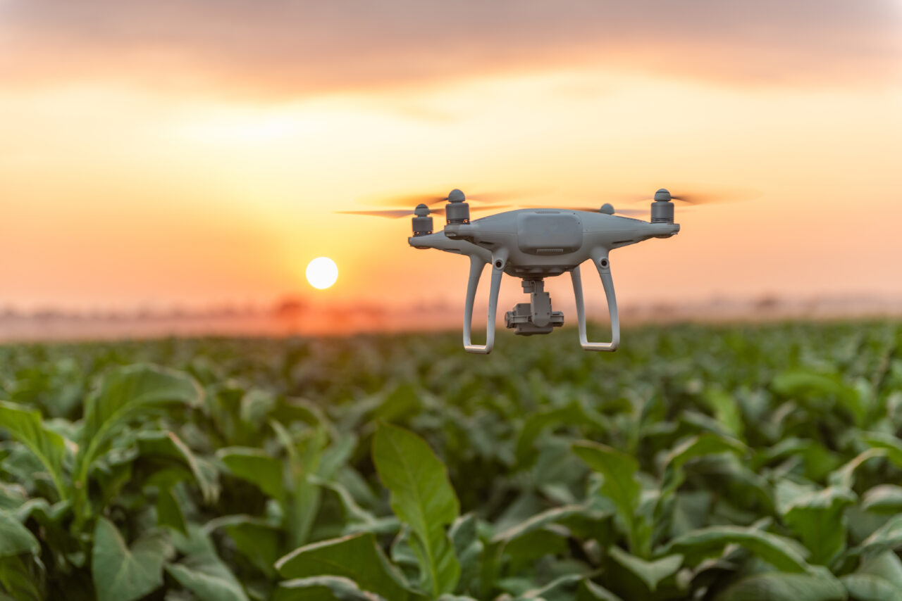 Autoritatea Aeronautică Civilă Română pregăteşte criteriile pentru autorizarea zonelor de testare a dronelor în România