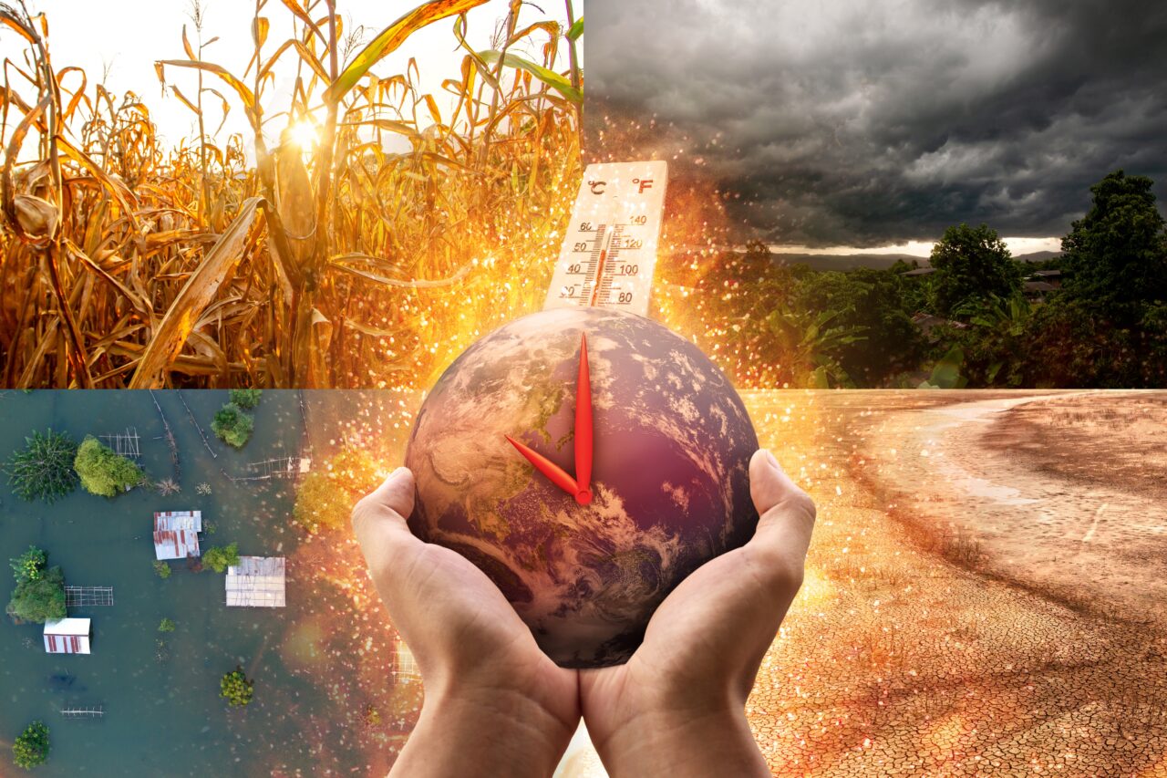 Seceta ar putea favoriza creșterea prețurilor la alimente, din toamnă. Avertismentul lansat de un fost ministru al Agriculturii: „Un impact asupra producției”