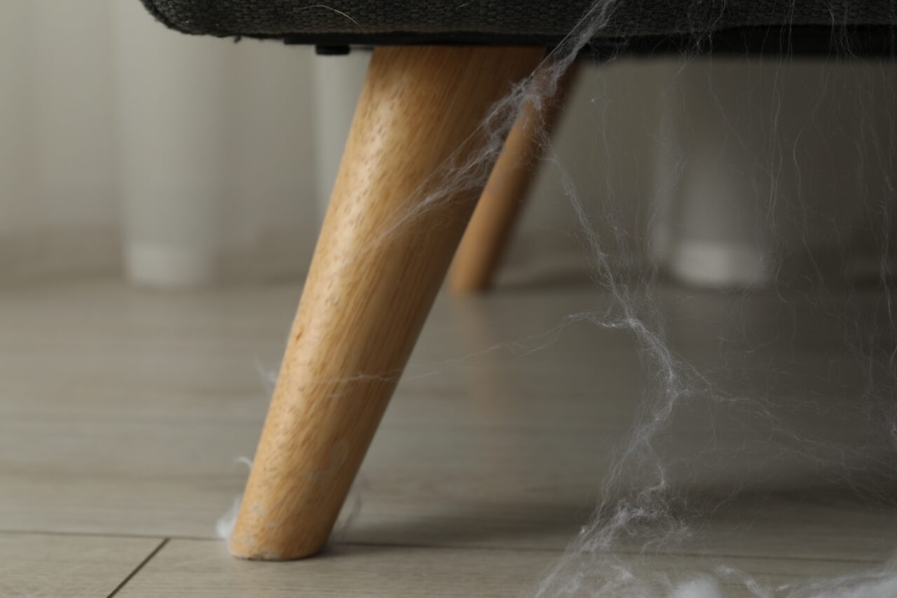 Cazare de coșmar într-un Airbnb: Ce a descoperit un turist sub podea după ce a mutat un scaun