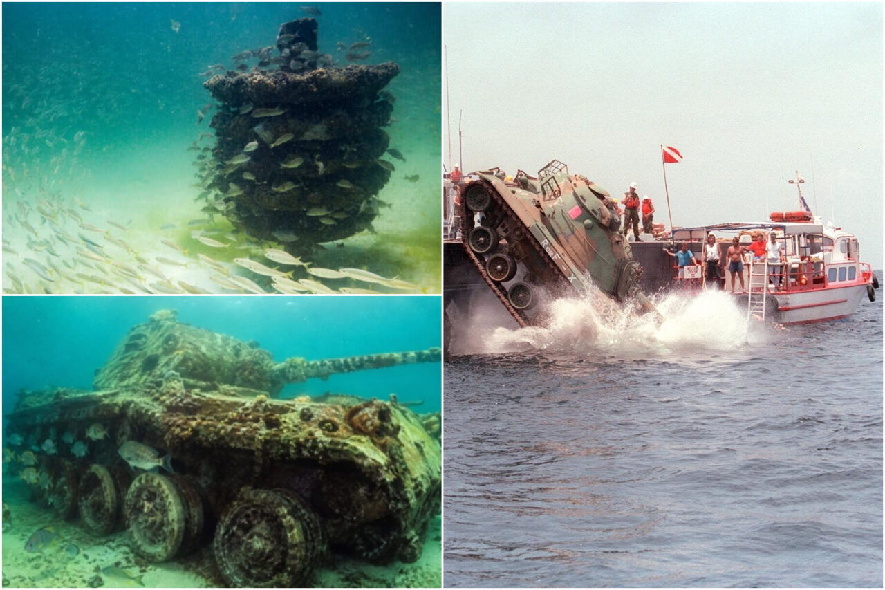 În 1994, Alabama a scufundat 100 de tancuri M60 în Golful Mexic. Ce s-a întâmplat cu mașinăriile de război, după zeci de ani