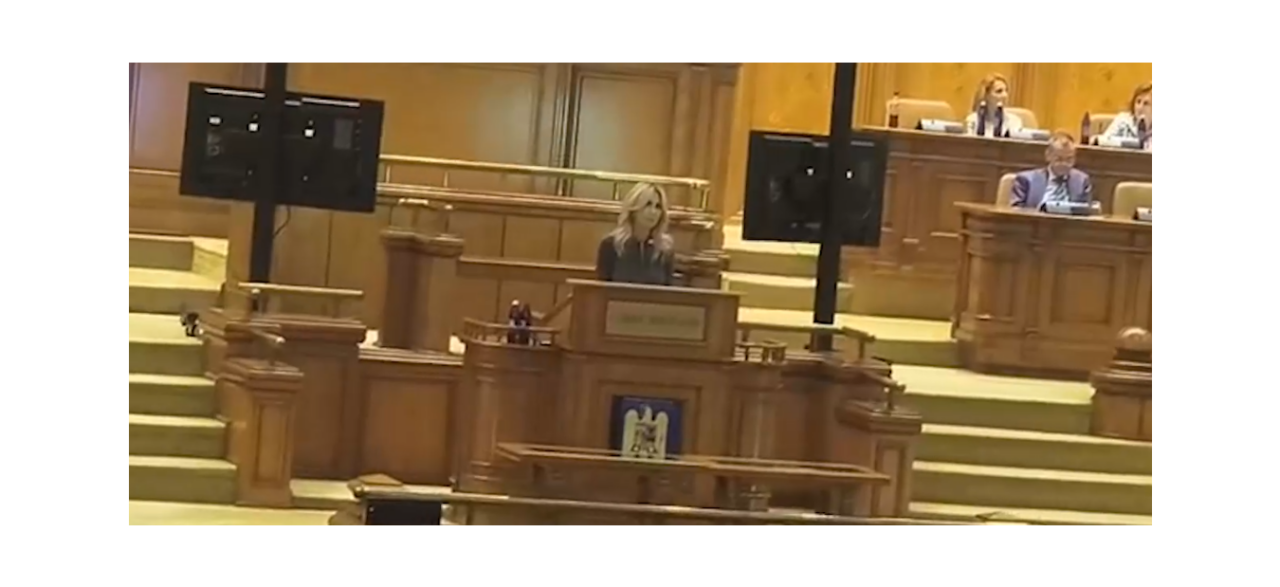 Scandal în plenul Camerei Deputaţilor pe legea care amână evaluarea şi admiterea la liceu în 2027. PNL acuză PSD că le-a furat proiectul