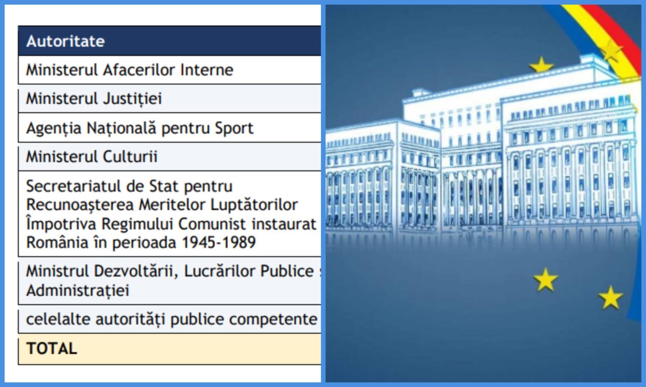 Un raport recent dezvăluie că o mulțime de ONG-uri cunoscute sunt neconforme. Probleme la organizațiile din cadrul Ministerului Afacerilor Interne