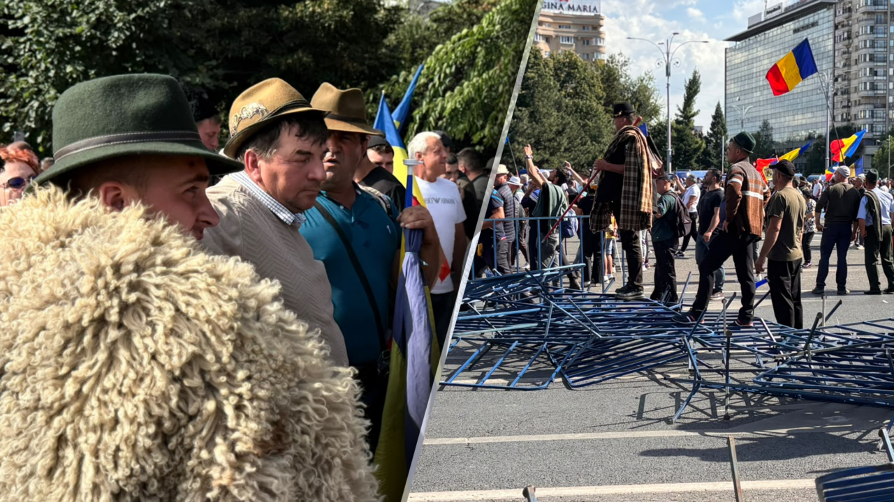 Fermierii au depus la Guvern o listă cu 16 revendicări. Ce solicitări au crescătorii de ovine