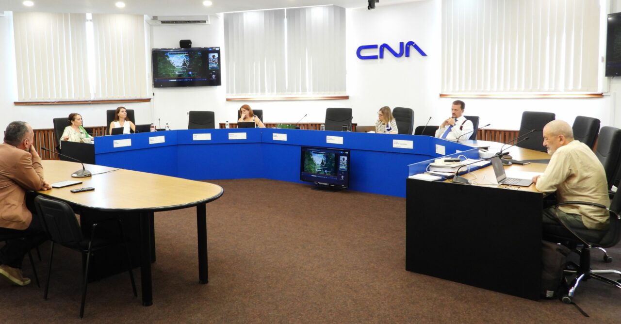 Influencerii români, luați în vizor de CNA. Dacă ai peste 100.000 de urmăritori cumulați pe toate rețelele de social media, ești obligat să raportezi. Cum a ajuns în Monitorul Oficial o decizie care creează controverse juridice, fără nicio informare publică a celor vizați
