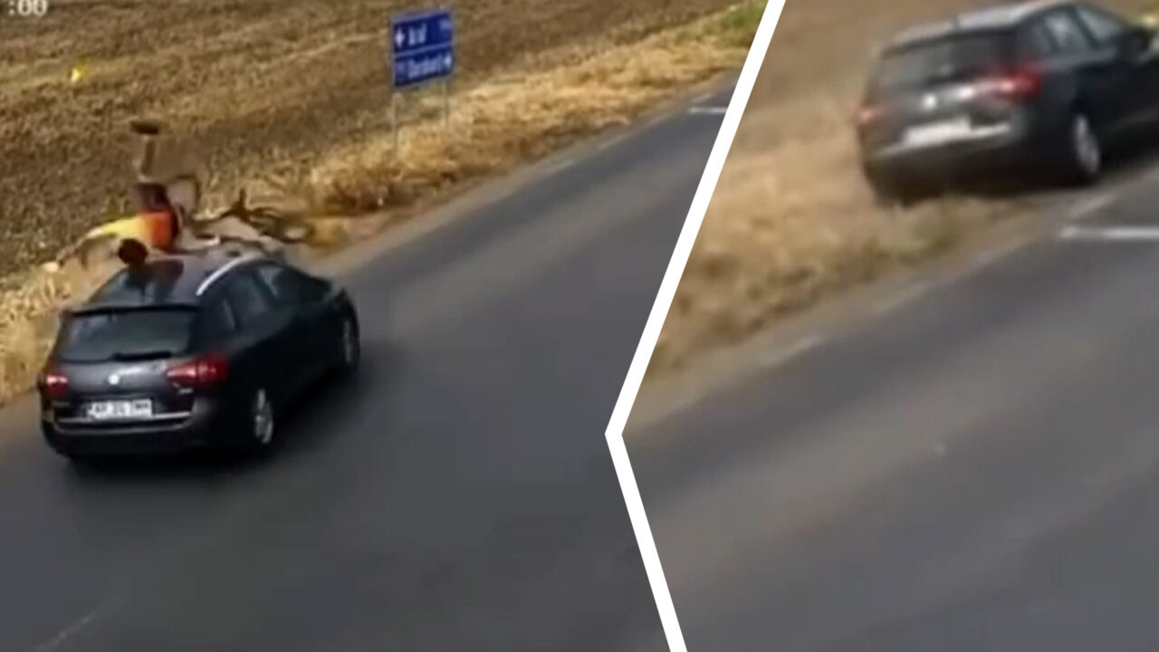 Un biciclist a fost lovit de o mașină și proiectat în afara șoselei, în apropiere de Curtici. Bărbatul a ajuns la spital cu răni grave