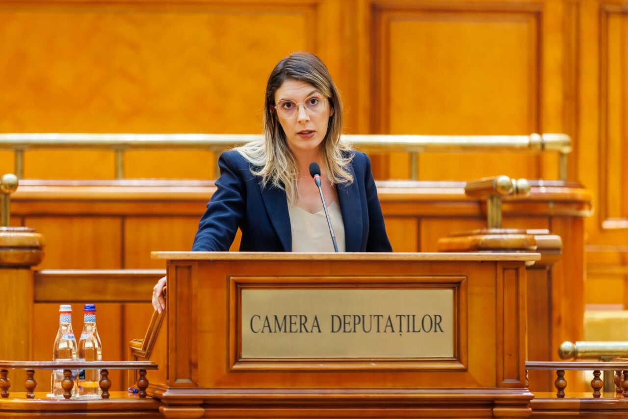 Diana Buzoianu susține că Direcția Silvică Ilfov a acționat împotriva intereselor Romsilva în cazul drumului din pădurea Băneasa