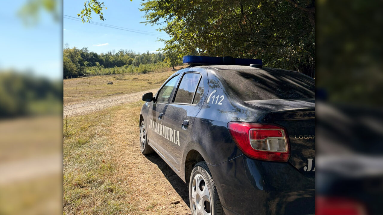 Un bărbat din Dâmbovița, declarat decedat, a apărut în evidențele polițiștilor ca transportator de lemne. Cum a fost posibil așa ceva