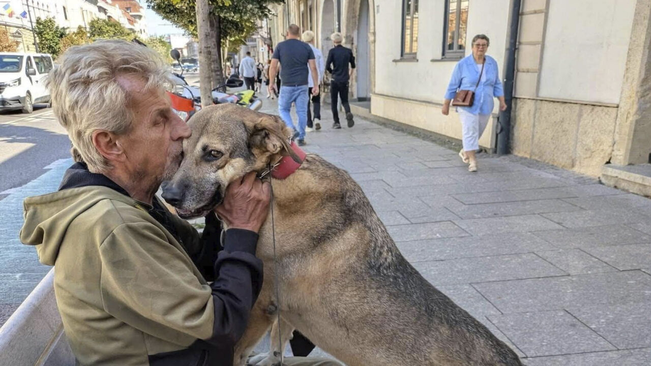 Rămas pe străzi, Mihai din Cluj are o singură grijă: Cui îi rămâne Ursu, câinele său: „Mai bine m-ar lua Dumnezeu”