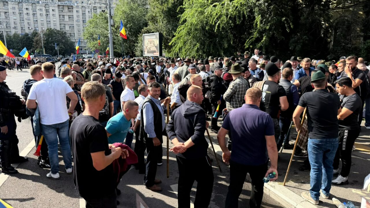 Ciobanii își strigă disperarea în fața Guvernului: „Vor să ne omoare, la fel ca în «Miorița». Noi îi ținem pe guvernanți acolo sus, nu ei pe noi”