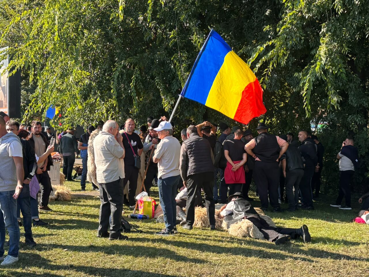Ciobanii își strigă nemulțumirile în Piața Victoriei. Vor să nu le mai fie omorâte animalele, iar exporturile să fie deschise: „Nimeni nu ne crede”