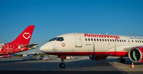 AnimaWings a suspendat toate zborurile regulate până pe 25 octombrie Ce se va întâmpla cu biletele cumpărate de pasageri