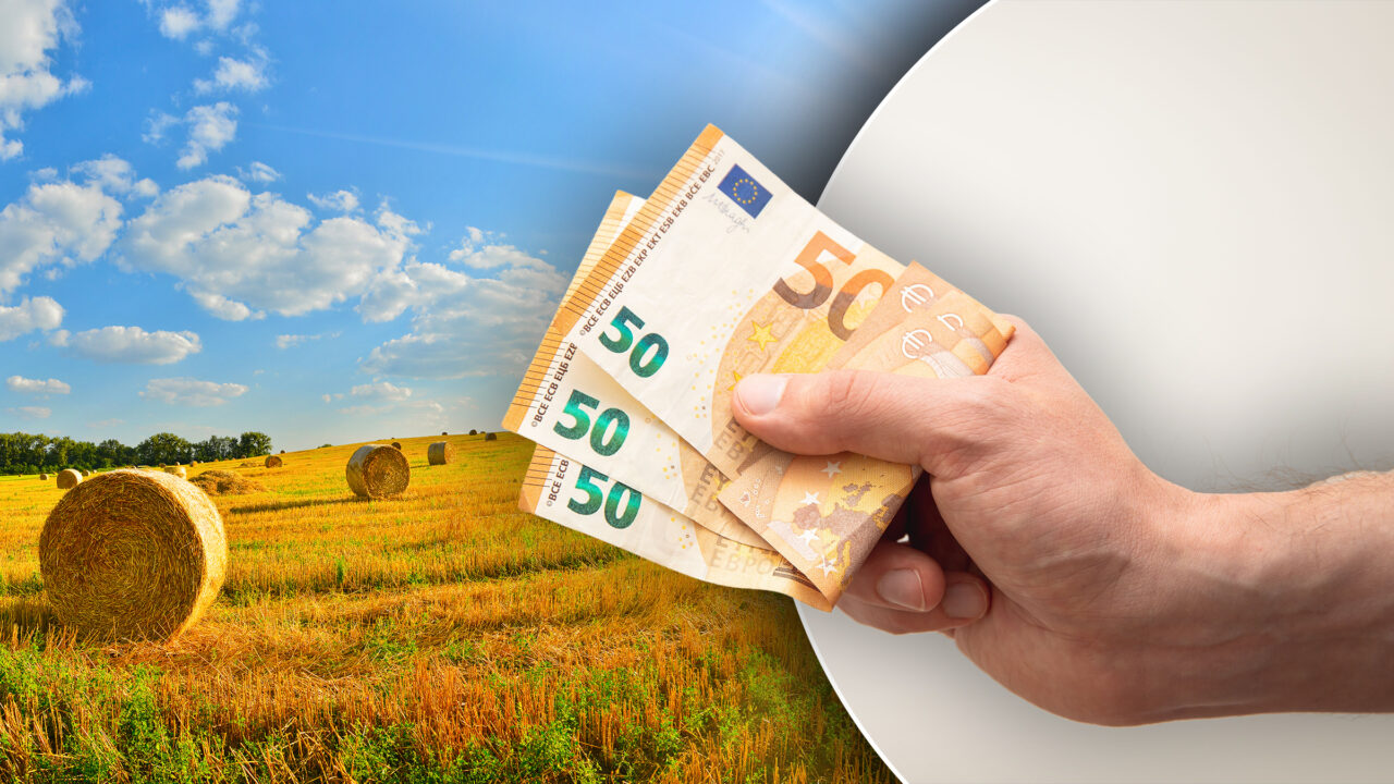 Fondurile europene prin GAL-uri, aproape epuizate În ce zone mai pot găsi fermierii finanțare