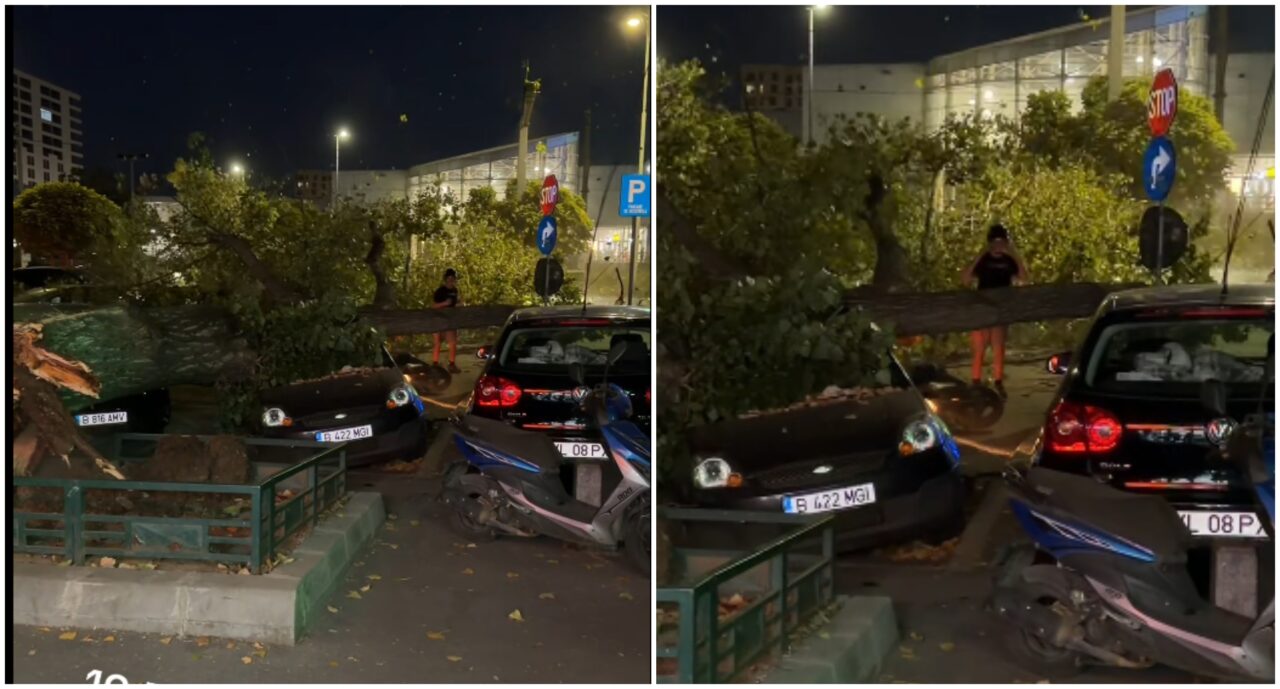Clipe de coșmar în sectorul 6 al Capitalei Un copac s-a prăbușit peste trei mașini și un motociclist Bărbatul a fost transportat de urgență la spital