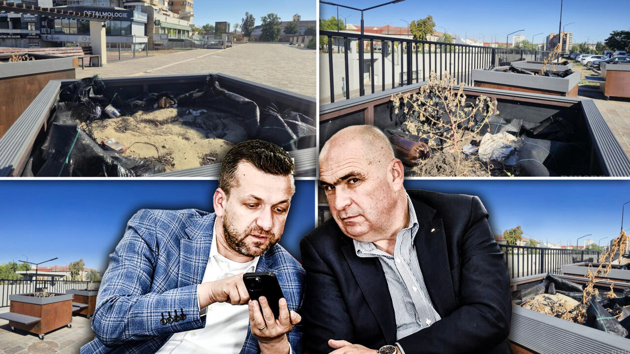 Copacii în ghiveci de 2.600 de euro bucata din Oradea s-au uscat la nici 6 luni de la plasarea lor prin oraș. Glastrele uriașe au ajuns scrumiere și depozite de pet-uri. Primăria nu știe cum să ascundă dezastrul