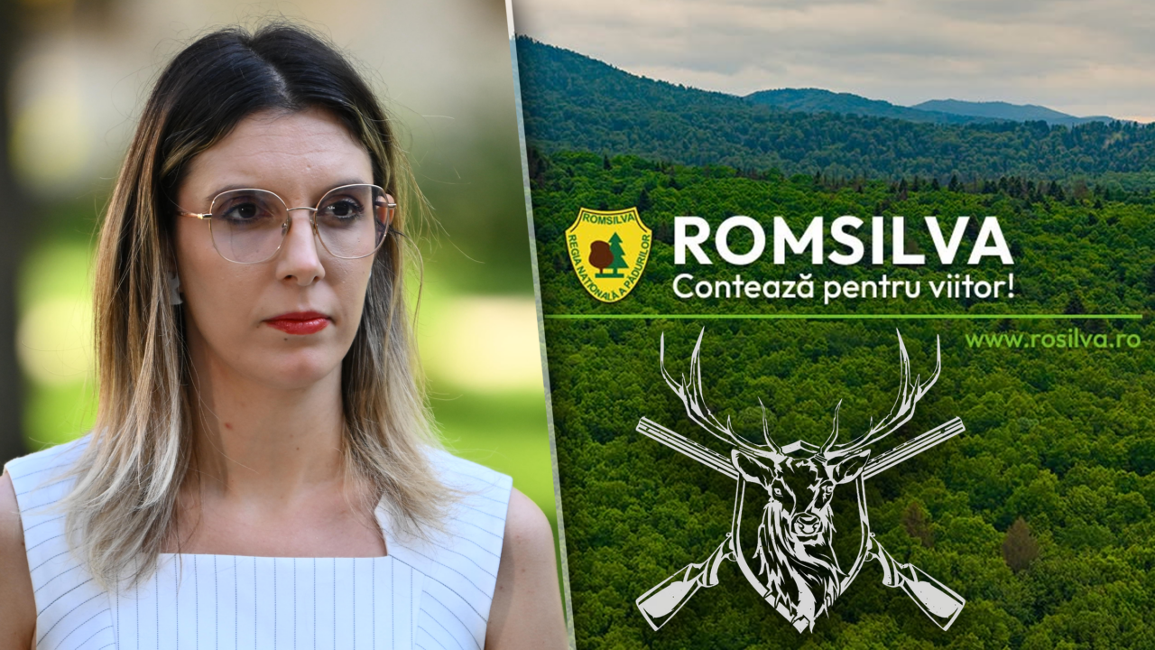 Diana Buzoianu anunță nereguli la Romsilva Iași. Directorii, la partide de vânătoare în timpul programului. Ce a descoperit Corpul de Control