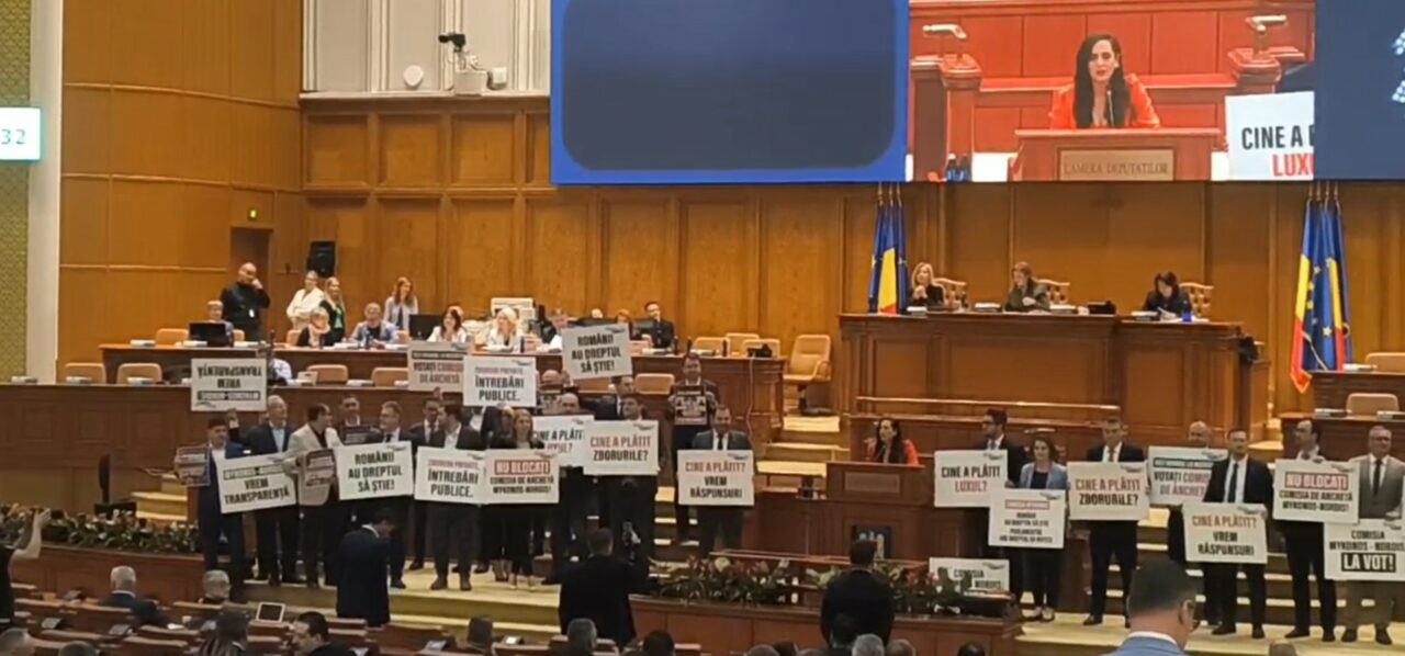 Scandal cu pancarte în plenul de miercuri, între userista Diana Stoica şi vicepreşedintele Camerei Deputaţilor, Natalia Intotero. De la ce a pornit disputa