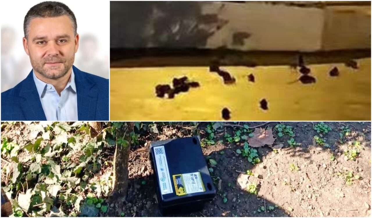 Ciprian Ciucu, primarul general al Capitalei, a găsit explicația pentru invazia de șobolani din centrul Bucureștiului. Cine ar fi de vină