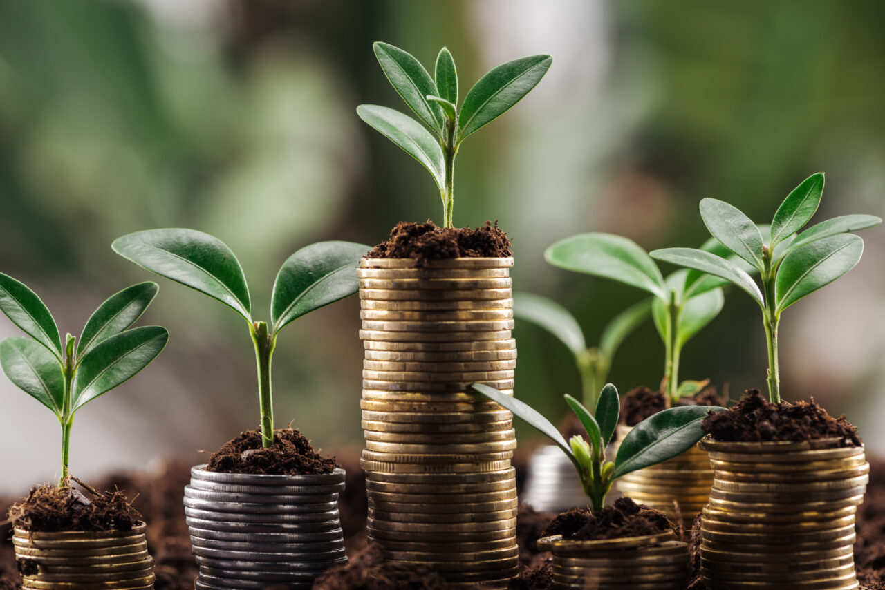 Prevenție, protecție sau investiție? Ce riști să omiți din calcule