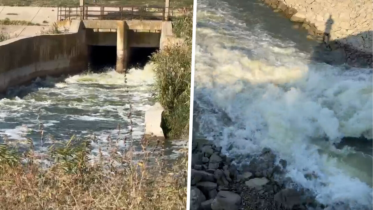 Panică printre agricultorii și piscicultorii din Călărași. Autoritățile au decis să dea drumul la apa din mai multe lacuri, pentru a crește debitul Dunării. Nivelul fluviului la Cernavodă este cu doar 3 cm mai mic de limita operațională a centralei nucleare. Precizări de la Apele Române
