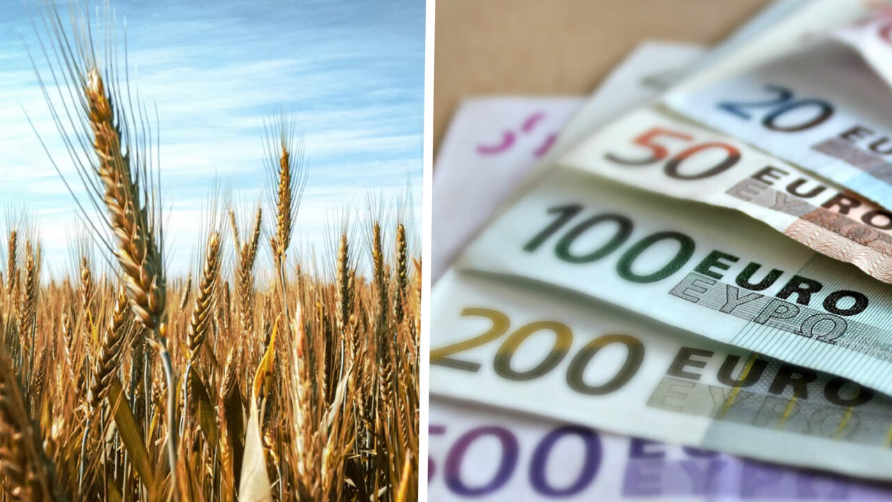 Fonduri europene pentru tinerii fermieri Câte cereri s-au depus în prima zi