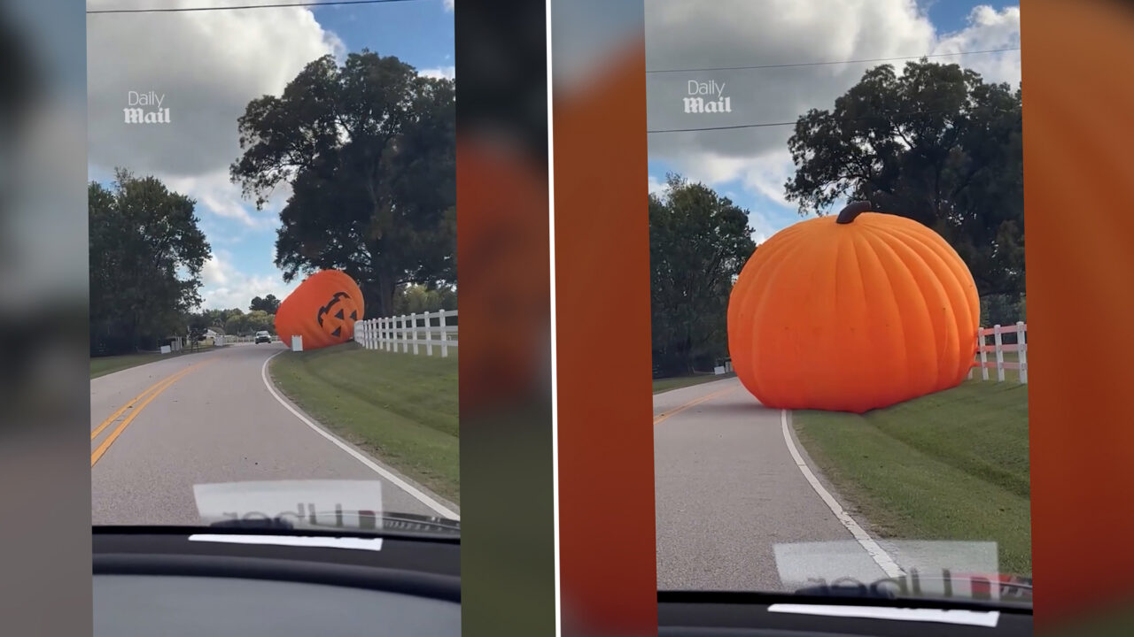 Imagini virale cu un dovleac gonflabil uriaș de Halloween, filmat în timp ce se rostogolește pe o șosea din SUA din cauza rafalelor puternice de vânt