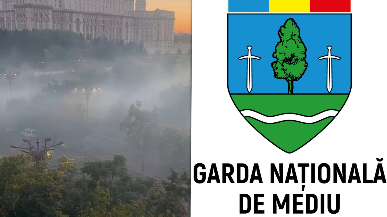 Garda de Mediu a amendat cu 15.000 de lei organizatorii competiției de drift din Piața Constituției Ce nereguli au descoperit comisarii