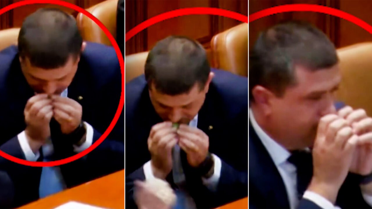 Al doilea om în stat – Mircea Abrudean – și Dinel Miruță, prinși în Parlament cum freacă menta la propriu. Cum a ajuns planta în mâinile celor doi