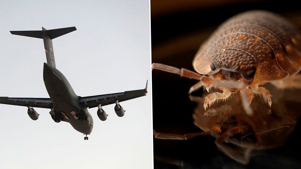 Un avion a fost retras temporar după ce pasagerii de la clasa economică au reclamat că au fost mușcați de ploșnițe