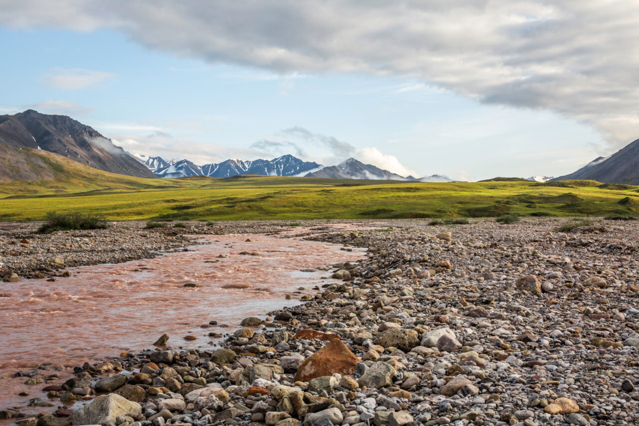 Descoperire arheologică în Alaska: o așezare veche de 13.800 de ani ar putea ascunde cele mai vechi locuințe și urme ale primilor câini domesticiți pe continentul american