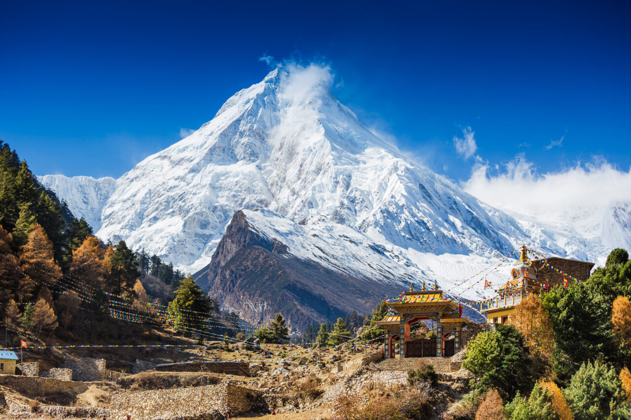 Pasărea din Himalaya care își schimbă sunetele din cauza oamenilor. Ce au descoperit cercetătorii