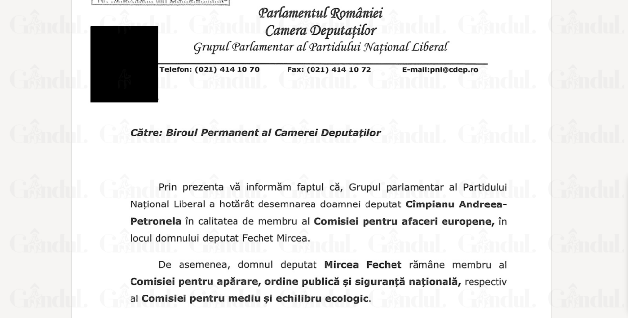 După ce a racolat-o pe deputata Cîmpianu de la SOS, PNL o numește membru al Comisiei pentru afaceri europene, în locul lui Mircea Fechet
